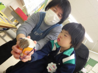 けん玉(りお) (2)